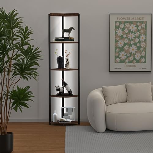 ZOUTOG Estante esquinero de 5 niveles con luz LED, estanterí