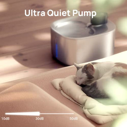 iPettie Runway - Fuente de agua para gatos de acero inoxidab
