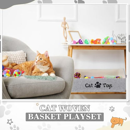 Zopeal Caja de juguetes para gatos de interior, 55 unidades,