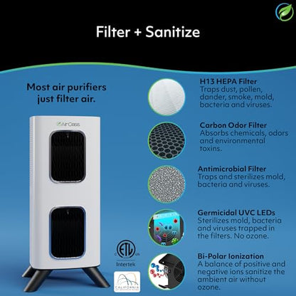 iAdaptAir 2.0 H13 - Filtro HEPA purificador de aire que redu