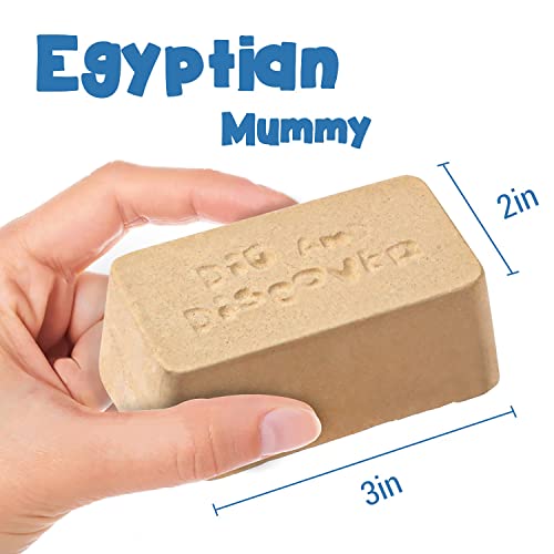 XX TOYS - Kit de excavación de momias egipcias para niños av