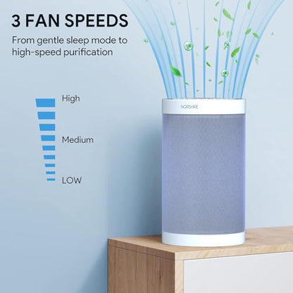 Purificador de aire para alergias en el hogar, pelo de masco