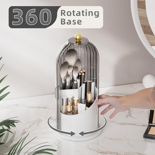 VITVITI Organizador de brochas de maquillaje con tapa, organ