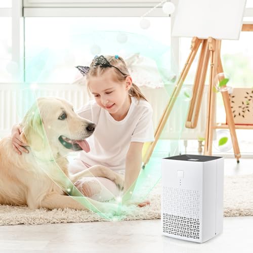 Purificadores de aire pequeños para oficina de escritorio, p