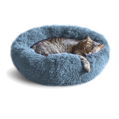 Whiskers & Friends Cama para gatos, camas para gatos de inte