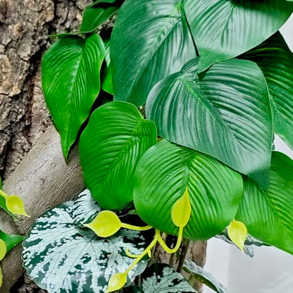 Woyrise Plantas de reptiles, enredaderas colgantes de terrar