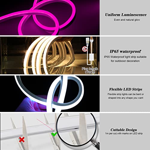 KSIBNW Tira de luces LED de neón RGB de 16.4 pies con contro