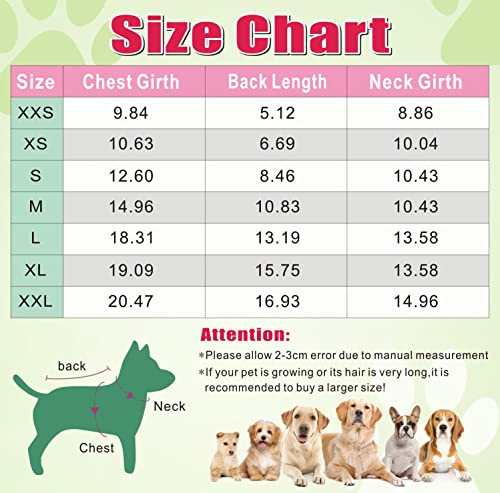 Sudadera con capucha para perro, ropa de seguridad de 4 pata
