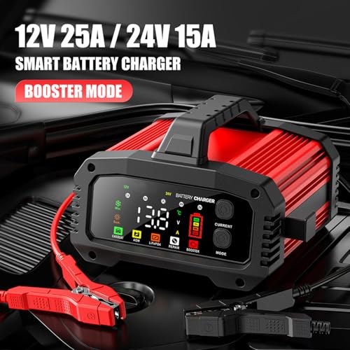 Cargador de batería de 25 A, 2/8/20/25 amperios 12 V/24 V Li