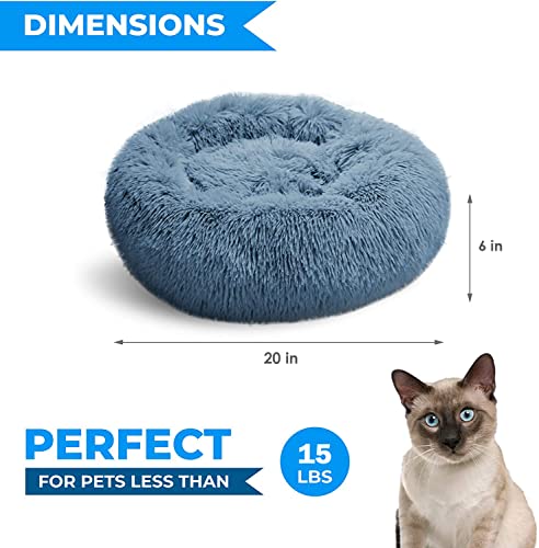 Whiskers & Friends Cama para gatos, camas para gatos de inte