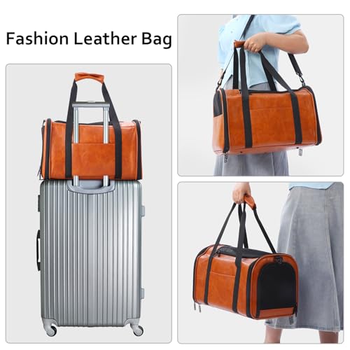 Transportador de cuero de moda para perros y gatos, aprobado