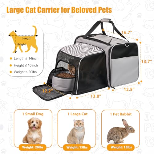 Transportador de gatos expandible de lados suaves con caja d
