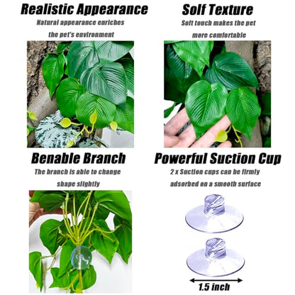 Woyrise Plantas de reptiles, enredaderas colgantes de terrar