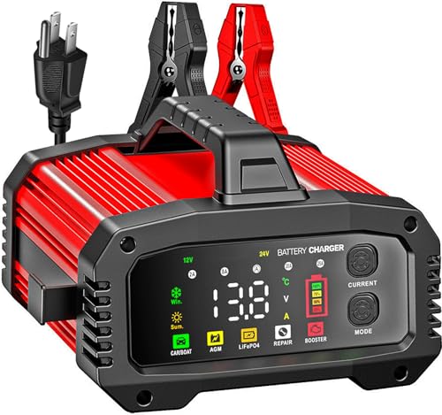 Cargador de batería de 25 A, 2/8/20/25 amperios 12 V/24 V Li