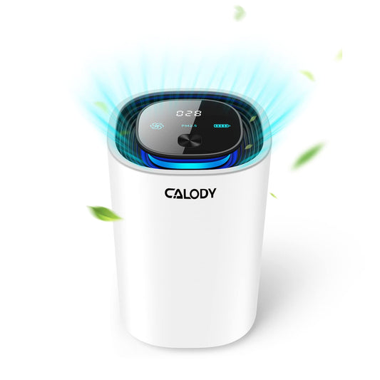Calody - Purificadores de aire para dormitorio y hogar, ioni