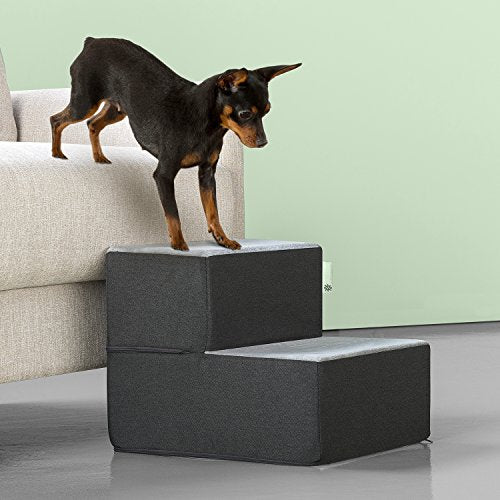 Zinus - Escalera fácil para mascotas de 2 peldaños/ Rampa pa