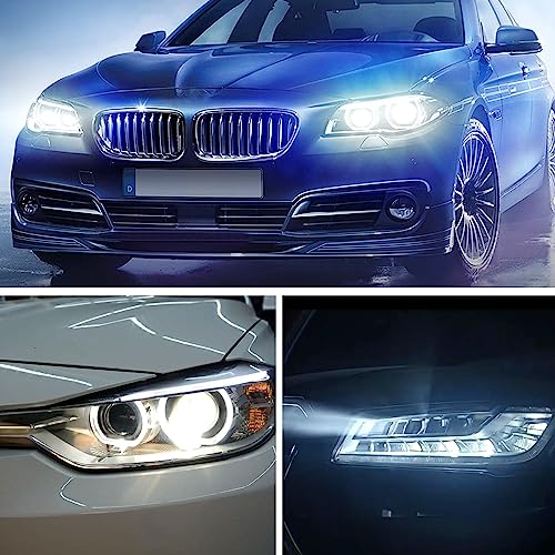 881 bombillas LED antiniebla, alta potencia 12SMD 7000K 4000