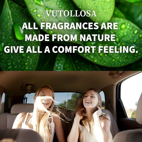 Daily Ambientador unisex ámbar vainilla para automóvil, paqu