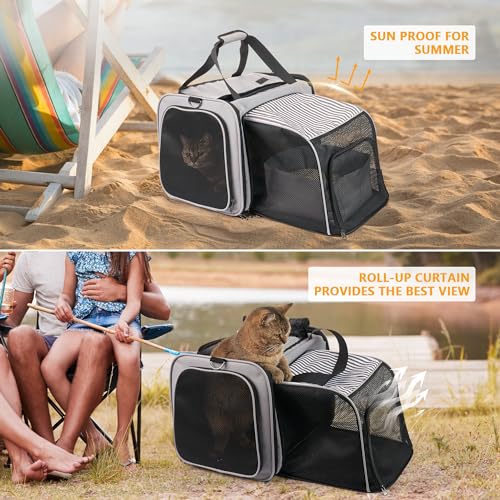 Transportador de gatos con caja de arena, transportador de v