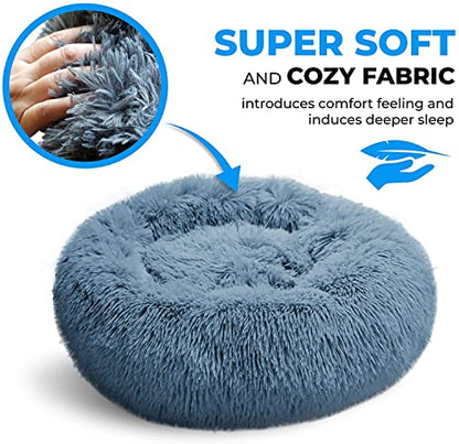 Whiskers & Friends Cama para gatos, camas para gatos de inte