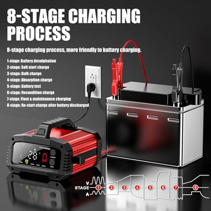 Cargador de batería de 25 A, 2/8/20/25 amperios 12 V/24 V Li