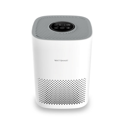 Purificador de aire para el hogar, filtro HEPA H13 para pelo