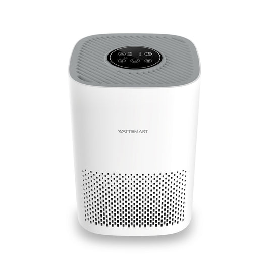 Purificador de aire para el hogar, filtro HEPA H13 para pelo