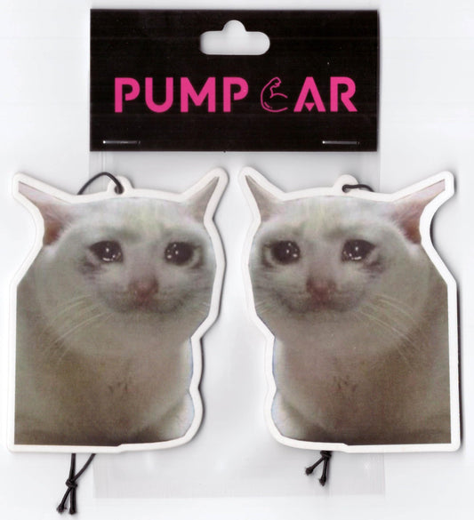 PumpCar 2 piezas de doble cara triste gatito colgante de gat